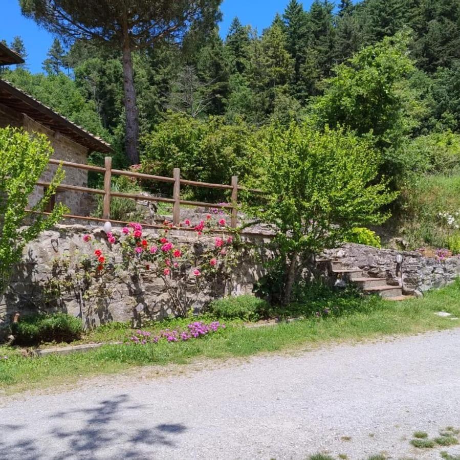Villa Fattoria Di Cintoia Pontassieve Exterior foto