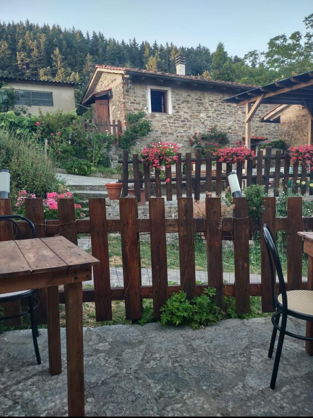 Villa Fattoria Di Cintoia Pontassieve Exterior foto