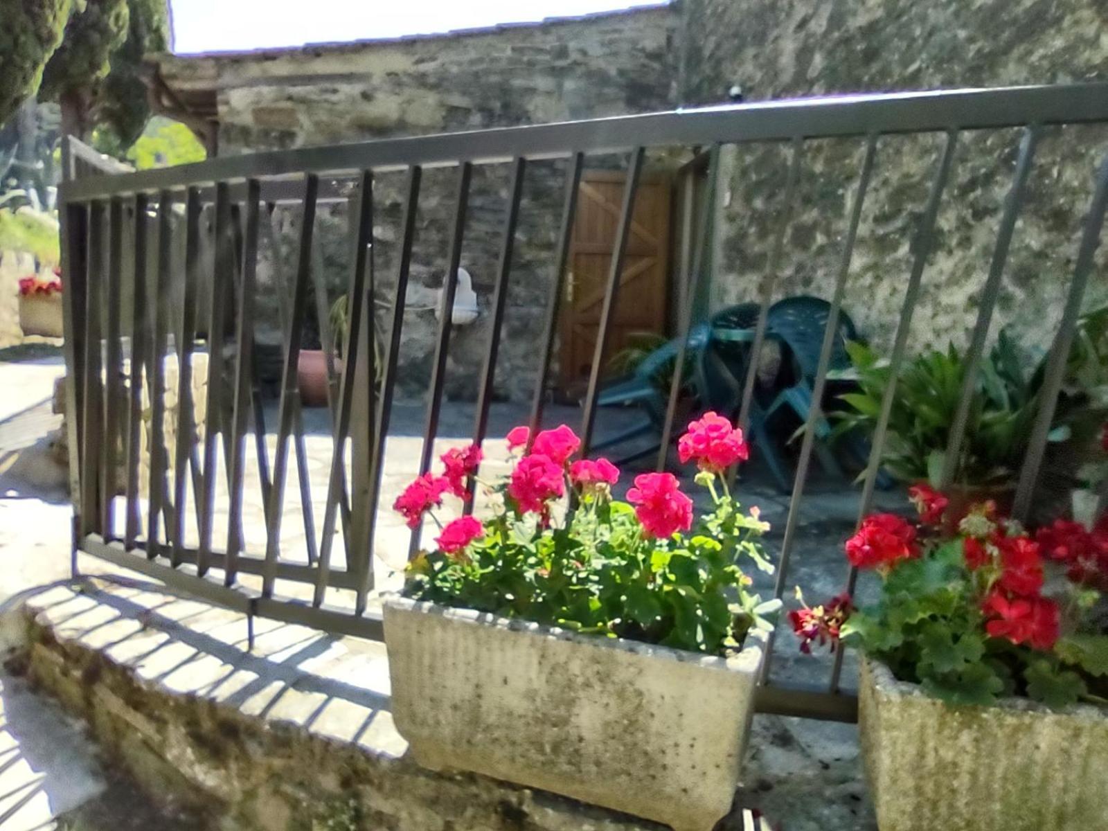 Villa Fattoria Di Cintoia Pontassieve Exterior foto