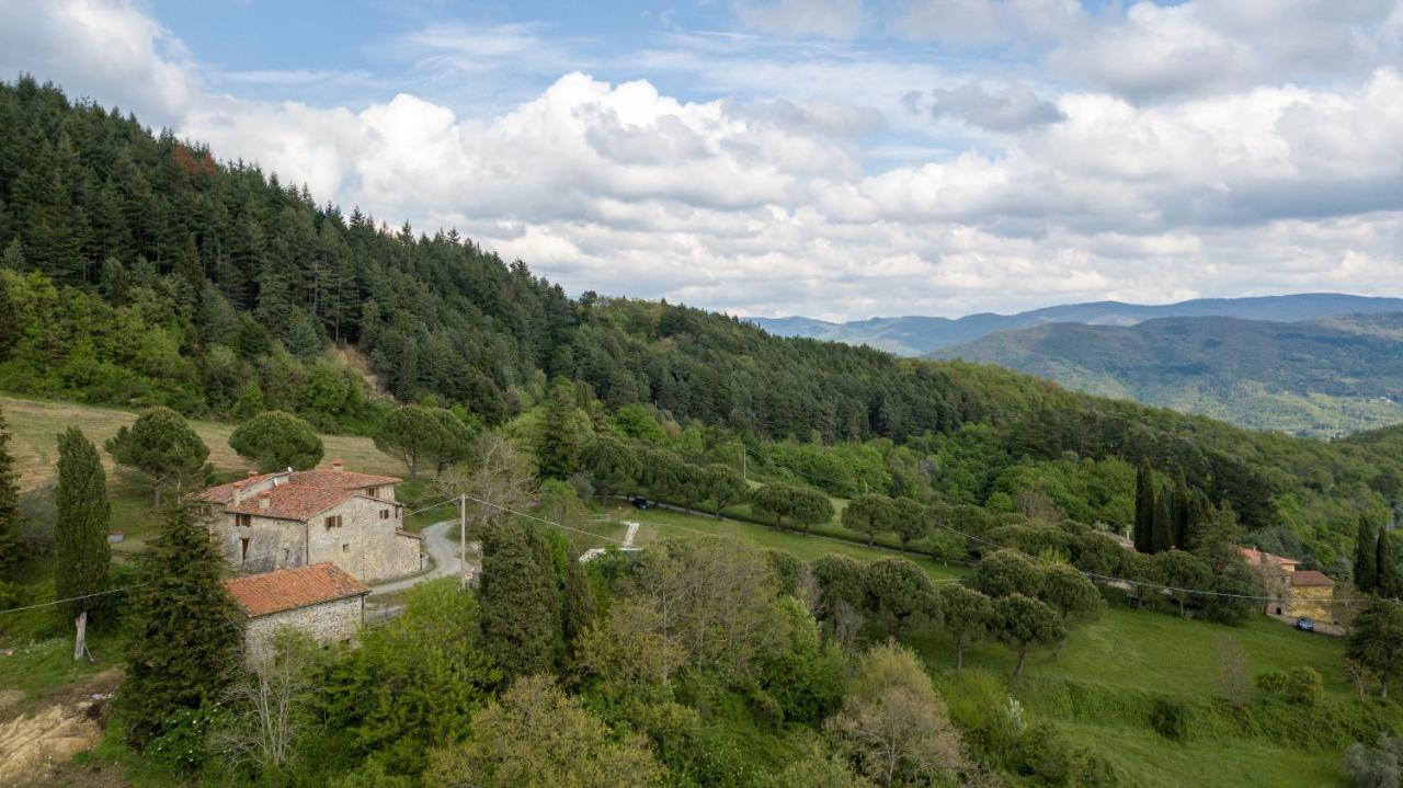 Villa Fattoria Di Cintoia Pontassieve Exterior foto