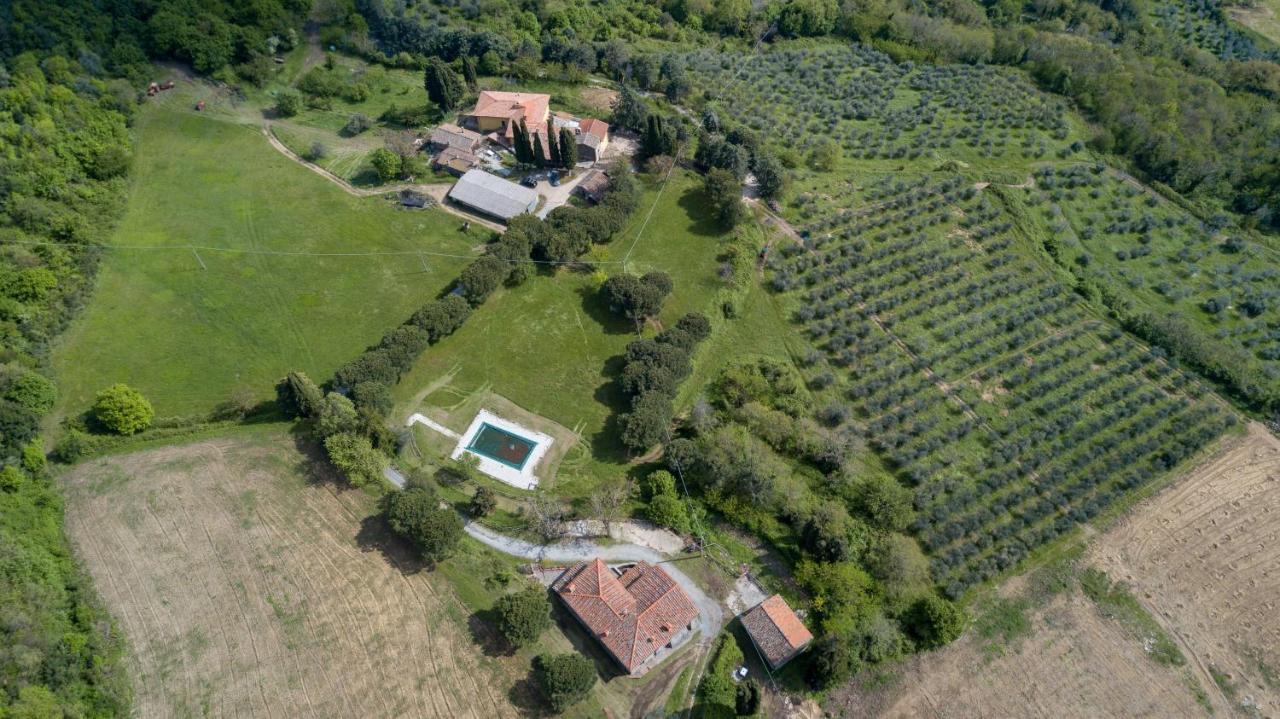 Villa Fattoria Di Cintoia Pontassieve Exterior foto